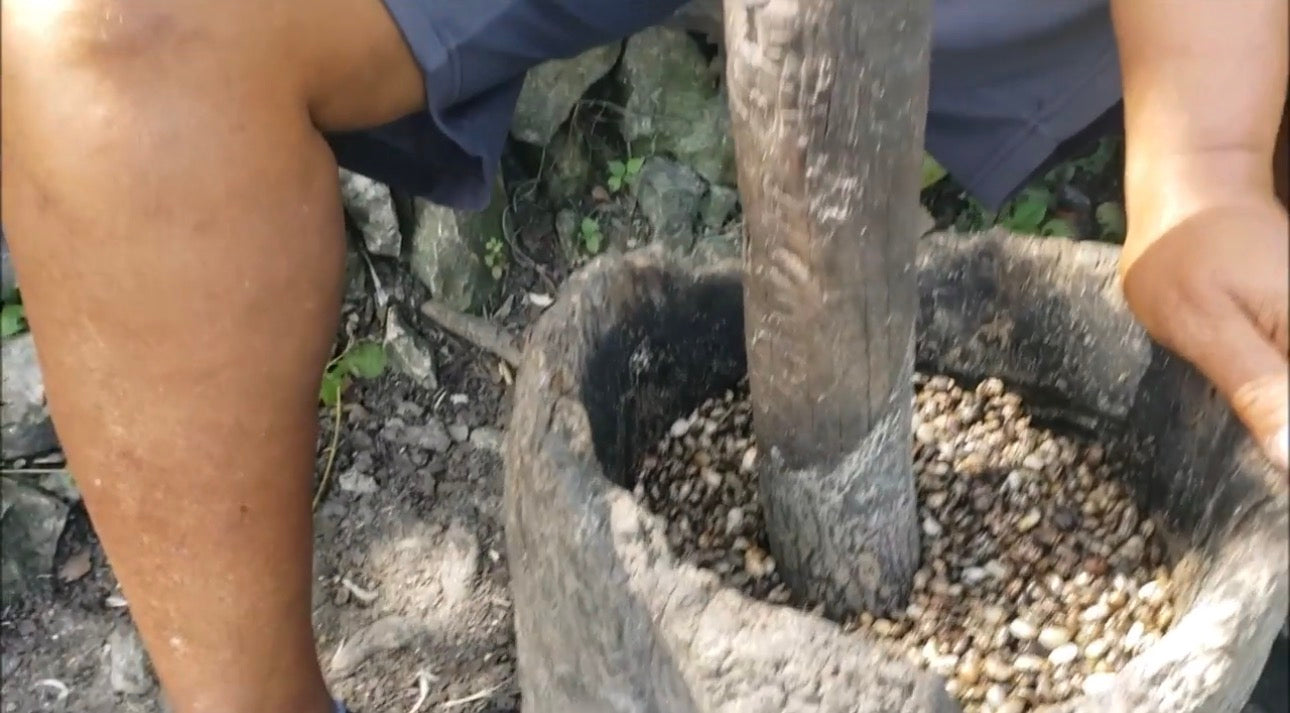 Jamaican Black Castor Oil Ritial